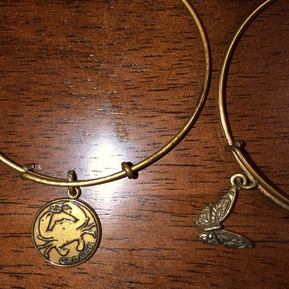 ALEX AND ANI! - Picture 2 of 2